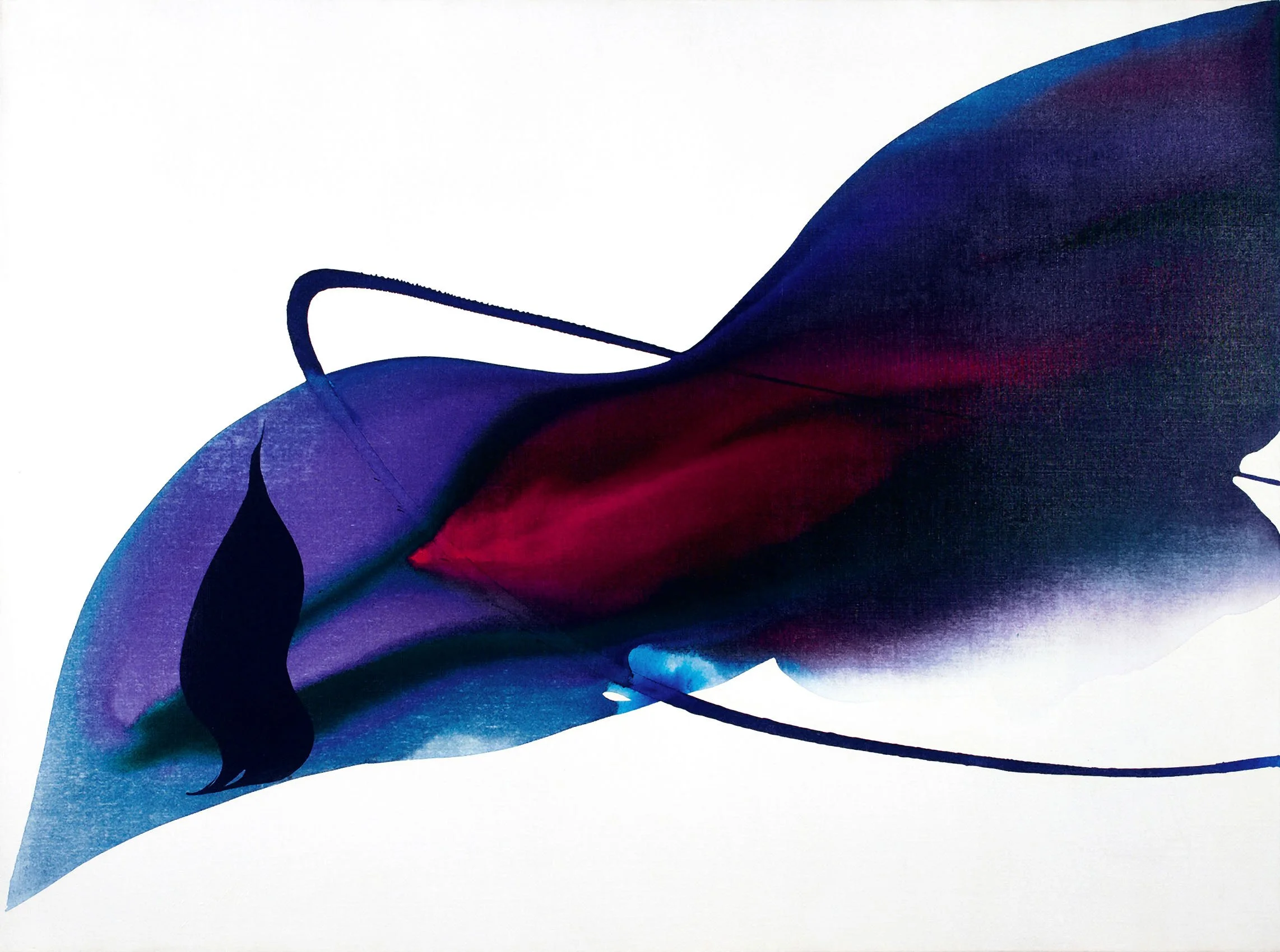 現代美術のPaul Jenkins作品集「ANATOMY OF A CLOUD」 PAUL JENKINS: COLOR AND FLOW — D. Wigmore Fine Art, Inc.
